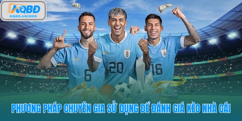 Nhận định kèo nhà cái dựa trên quy trình phân tích dữ liệu thực tế